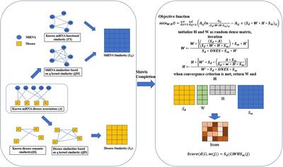 QIMCMDA: MiRNA-Disease Association Prediction by q-Kernel Information and Matrix Completion